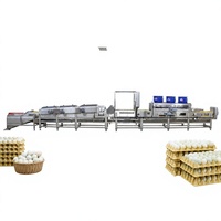 Système de nettoyage et de séchage des œufs de cane 30000 EPH Équipement de transformation alimentaire