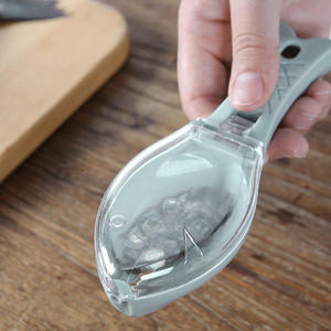 Ustensiles de Cuisine Maison <span class=keywords><strong>Râpe</strong></span> Écaille de Poisson Dispositif à Racler pour Écailleurs - Product Image 2