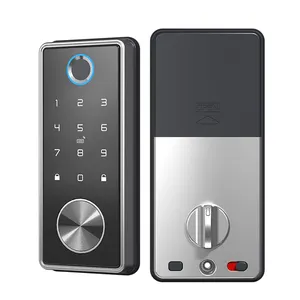 Fabriek Groothandel Bluetooth Digitale Keyless Entry Smart Home Lock App Vingerafdruk & Wachtwoord Deurslot Met Wifi-Connectiviteit