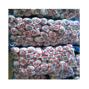 2025 China Fabricante <span class=keywords><strong>de</strong></span> ajo fresco Ajo <span class=keywords><strong>de</strong></span> alta calidad Plantación <span class=keywords><strong>de</strong></span> ajo natural Proveedores <span class=keywords><strong>de</strong></span> Shandong - Product Image 4