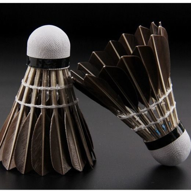 ark50-12 ball-amateur training-76 speed