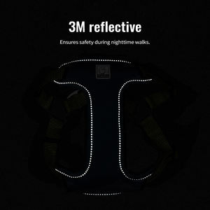 Truelove articoli all'ingrosso di moda personalizzato Eco Friendly <span class=keywords><strong>Nylon</strong></span> Pet imbracatura riflettente regolabile Outdoor gilet pettinatura - Product Image 3