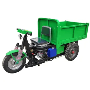 48V 1000W Brush Water Battery Cargo Electric Tricycles 3 Wheel Car Electric Troca of Black 3 Wheel Tipper Bike Open
