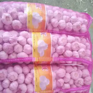 5KG Per Mesh Bag 6.0cm Normal White Garlic Fresh Garlic Chinese Gralic Wholesale Price