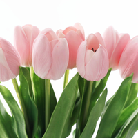Penjualan terlaris desain terbaru 53cm bunga PU tunggal Tulip buatan untuk Hari Valentine