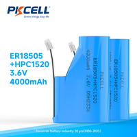 Batterie au lithium ER18505+HPC1520 3.6V 4000mAh, pack d'énergie fiable pour les compteurs intelligents d'eau et de gaz NB-IoT