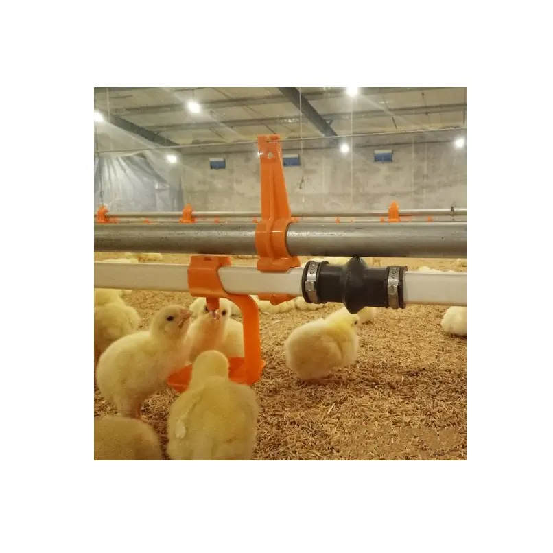 Fabrika tedarikçisi kalite Broiler tavuk tava besleme su tiryakisi içme hattı sistemi kümes hayvanları tarım ekipmanı