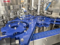 Machine de remplissage et de scellage entièrement automatique pour canettes en aluminium de 330 ml, 350 ml et 500 ml pour boissons gazeuses