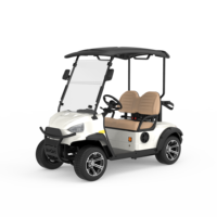 Voiturette de golf électrique professionnelle personnalisée avec logo et accessoires couleur, nouveau modèle, autonomie de 60-80 miles, pour 2 personnes, idéale pour les communautés résidentielles