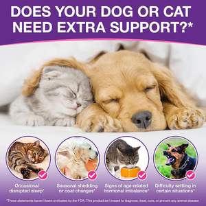 OEM/ODM ผลิตภัณฑ์เสริมอาหารสำหรับสัตว์เลี้ยงแบบหยดสำหรับสุนัข แบรนด์ส่วนตัว เมลาโทนินชนิดน้ำ ช่วยให้นอนหลับดีขึ้น ปรับปรุงคุณภาพการนอนหลับ - Product Image 4