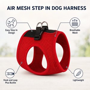 Harnais pour chien en maille respirante, facile à enfiler, pour petits chiens et chiots, OEM ODM, durable, confortable, rembourré, fournitures pour animaux de compagnie, réglable - Product Image 3