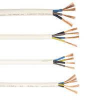 Rvv 300 500V Kabel 2 1,0mm² 1,5mm² 2,5mm² 4mm² Elektrisches Kabel Draht