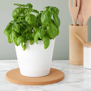 Dessous <span class=keywords><strong>de</strong></span> plat ronds en <span class=keywords><strong>liège</strong></span> <span class=keywords><strong>de</strong></span> 9 pouces, tampons multifonctionnels et résistants à la chaleur pour plats chauds, assiettes et comptoirs <span class=keywords><strong>de</strong></span> cuisine - Product Image 6