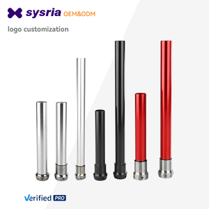 Piramide Aluminium Kinderen Orthopedische Integratie Adapter Kunstmatige Prothese Ledemaat Voet Voeten Enkel Kniegewricht Prothetische Been - Product Image 5