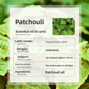Bio distillato <span class=keywords><strong>di</strong></span> alta qualità <span class=keywords><strong>olio</strong></span> <span class=keywords><strong>essenziale</strong></span> aromaterapia cura della pelle materie prime all'ingrosso Indonesia <span class=keywords><strong>Patchouli</strong></span> <span class=keywords><strong>olio</strong></span> <span class=keywords><strong>essenziale</strong></span> - Product Image 3