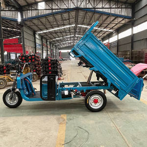 Risciò elettrico auto-Lifting 1200w per veicolo cargo triciclo - Product Image 1