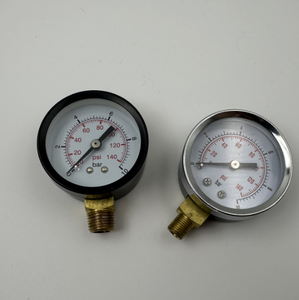 दबाव गेज Y50 - Product Image 3