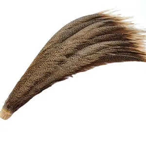 Wholesale Nature Long Pheasant Feathers Golden Pheasant Center Tail Feathers for Carnival Dress Party Decoration