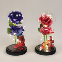 Rose éternelle sous cloche avec lumière LED, rose galaxie, meilleur cadeau pour elle pour la Saint-Valentin, la fête des mères