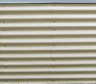 Ivoy White