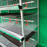 Cage à poulets de chair multi-niveaux de type H, capacité 60/80 poulets, cage de ferme galvanisée pour poulets de chair à vendre