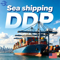 Transitaire maritime Expédition maritime vers les États-Unis Porte à Porte 20 ans d'expérience Amazon FBA