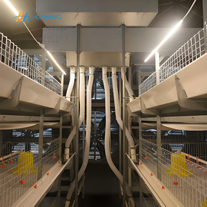 Jaula de batería para pollos de engorde de 3 niveles de <span class=keywords><strong>alambre</strong></span> de acero galvanizado personalizada para granjas avícolas - Product Image 2