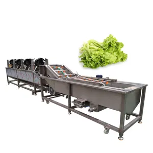 Full Automatic Vegetable Fruit Sorting Cutting Washing Drying Processing Machine Dragon Washing Line