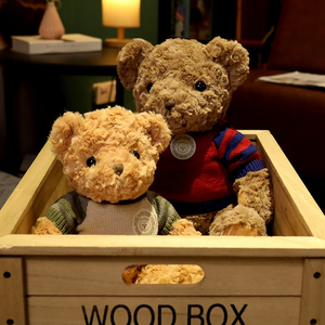 Nouveau Design Vintage Jumper Bear jouets en peluche décoration de la maison ornements filles cadeau ours en peluche avec météo jouets en peluche - Product Image 4