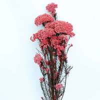 Fabriek Directe Groothandel Bloemen Boeketten Geconserveerde Rijstbloem Voor Huisdecoratie Cadeau Arrangement Yunnan Droge Natuurlijke Express