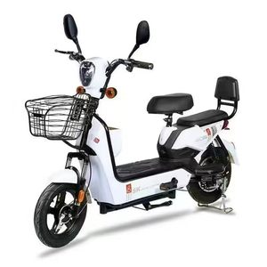 Système portable et compact <span class=keywords><strong>de</strong></span> 350W pour étudiants, campus, voyages, batterie au plomb-acide 48V, vélo électrique - Product Image 1