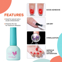 Ensemble de vernis à ongles en gel Nina 2021, marque privée, vente en gros, 60 couleurs, vernis émail, kits d'art des ongles pour filles, LED, durcissement en 30 secondes, longue durée