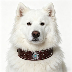 Collar de Cuero de Grano Completo para Mascotas, Nuevo Collar de Cuero Vacuno Grabado <span class=keywords><strong>con</strong></span> Costuras y Tachuelas de Diamantes de Imitación para Perros Medianos y Grandes - Product Image 1