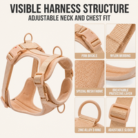 Kit de promenade personnalisé pour animaux de compagnie en tissu réglable avec harnais de poitrine rembourré, collier et longue laisse pour chien – Accessoires d'extérieur sur commande