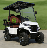 Voiturette de golf électrique 6 places avec pneus tout-terrain, prix abordable, pare-chocs personnalisable pour le camping sauvage, les traversées et les scénarios de travail en dune