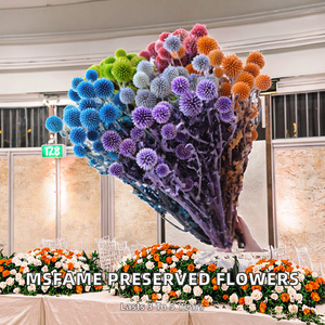 Ramo de Flores de <span class=keywords><strong>Crassula</strong></span> Multicolor Naturales y Preservadas, Arreglo Floral Seco Eterno para Decoración del Hogar y Eventos - Product Image 2