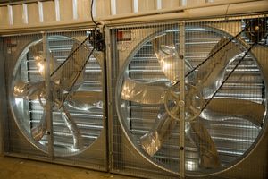 Disegno semi automatico gabbie di pollo prezzo di 120 strati di pollame batteria gabbie di pollo per animali in vendita in kenya zimbabwe - Product Image 6