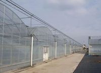 Invernadero de Túnel Grande Multiusos con Cubierta de Película para Turismo Agrícola y Jardín de Recolección