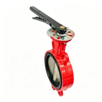 Vanne papillon à joint torique en fonte ductile Wanlian D71X avec revêtement en caoutchouc, personnalisation professionnelle, DN50-DN200, avec poignée