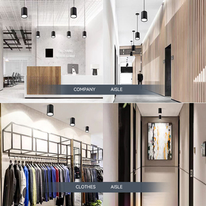 Foco de Techo <span class=keywords><strong>LED</strong></span> de Superficie Ajustable de Calidad, Bajo Deslumbramiento, Luminaria <span class=keywords><strong>LED</strong></span> COB con Barra, Marca Philips - Product Image 6