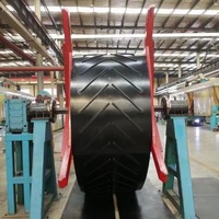 Bande transporteuse en nylon à crampons en Y robuste sur mesure, à nervures EP Chevron pour une meilleure adhérence et durabilité, état neuf