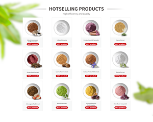 Nhà máy cung cấp Hữu Cơ mogroside <span class=keywords><strong>V</strong></span> <span class=keywords><strong>Luo</strong></span> <span class=keywords><strong>han</strong></span> <span class=keywords><strong>Guo</strong></span> chiết xuất tinh khiết tự nhiên chất làm ngọt nhà sư chiết xuất từ quả - Product Image 3