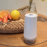 Pompe à vide électrique de cuisine USB en acier inoxydable mini-machine à sceller sous vide portable de petite taille pour la cuisson des aliments vente en gros