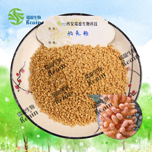 Usine en gros de haute qualité supplément nutritionnel en vrac cru 99% poudre de <span class=keywords><strong>pollen</strong></span> de pin <span class=keywords><strong>pollen</strong></span> de pin - Product Image 4