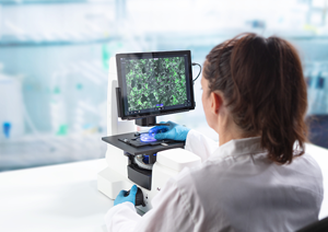Axiovert 5 Digital Intègre l'Intelligence Artificielle dans Votre Laboratoire Cellulaire, Réduisant Votre Charge de Travail Quotidienne - Product Image 5