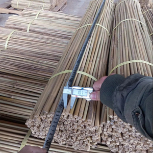 Piquets en bambou robustes pour l'agriculture, bâtons de soutien en bambou naturel pour pépinières et fermes - Product Image 1