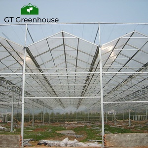 Panel de lámina de plástico para invernadero, sistema de cultivo hidrofonico de policarbonato - Product Image 6