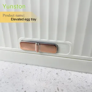 2024 New Kitchen Large Capacity Plastic Elevated Egg Tray Multi-layer PET Egg Storage Refrigerator Egg Holder