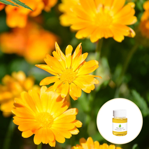 Precio al por mayor, <span class=keywords><strong>aceite</strong></span> de caléndula esencial puro, <span class=keywords><strong>aceite</strong></span> de caléndula prensado en frío para cosméticos faciales y corporales a granel - Product Image 4
