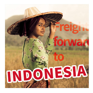 Los 10 Mejores Servicios de Transporte Marítimo y Aéreo de Bajo Costo en China, FCL/LCL, Puerta a Puerta, DDU, Entrega Rápida y Competitiva a Tailandia y Filipinas - Product Image 6